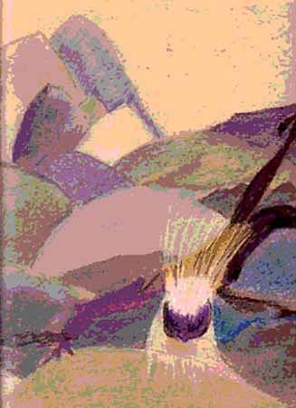 ln14_t_c