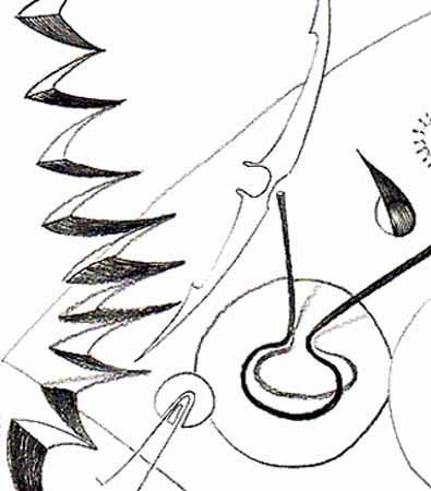 n01dessin_prep01
