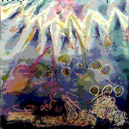 n06degel01