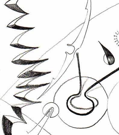 n01dessin_prep01