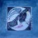 raven15